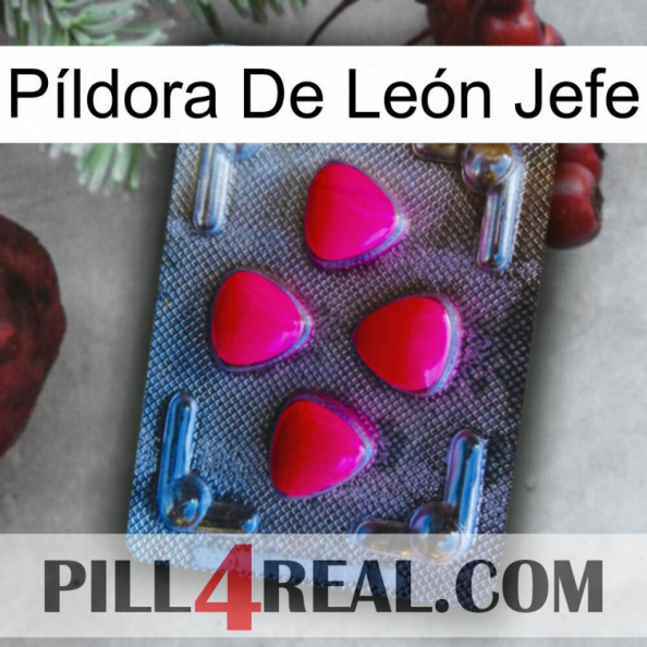 Píldora De León Jefe 13.jpg